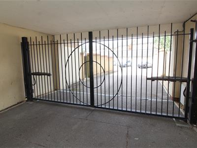 Picture 8